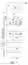 Fig. 08 - TWO MODE IMAGE DISPLAYING APPARATUS AND ADJUSTMENT METHOD OF IMAGE BRIGHTNESS