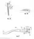 Fig. 02 - EYEGLASSES WITH INTERCHANGEABLE TEMPLE PIECES