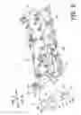 Fig. 09 - Image reading apparatus