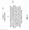 Fig. 06 - Coil assembly and electrical device having such coil assembly