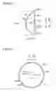 Fig. 26 - Lighting apparatus, headlamp, and mobile body