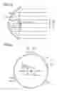 Fig. 27 - Lighting apparatus, headlamp, and mobile body
