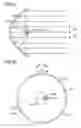 Fig. 41 - Lighting apparatus, headlamp, and mobile body