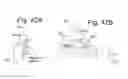 Fig. 40 - Lamp assembly having light source with luminance peak portion at one of the long sides of the light source