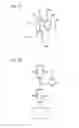 Fig. 02 - Driving method of semiconductor device