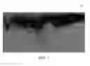 Fig. 02 - REVERSE TIME MIGRATION BACK-SCATTERING NOISE REMOVAL USING DECOMPOSED WAVEFIELD DIRECTIVITY
