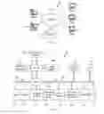 Fig. 02 - Mechanisms for discovering path maximum transmission unit