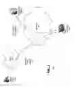 Fig. 02 - Voice over internet protocol diagnostics