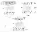 Fig. 02 - Method and system for virtualizing a cellular basestation