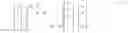 Fig. 02 - Symmetrical data signal processing