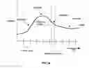 Fig. 16 - Interpolation of video compression frames