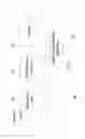 Fig. 04 - Video encoding