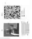 Fig. 09 - Video encoding