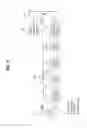 Fig. 07 - DTV transmitting system and receiving system and method of processing broadcast signal