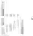 Fig. 04 - Adaptive digital signal processing of a receive signal