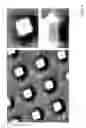 Fig. 05 - Superwetting surfaces for diminishing leidenfrost effect, methods of making and devices incorporating the same