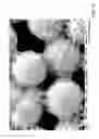 Fig. 13 - Superwetting surfaces for diminishing leidenfrost effect, methods of making and devices incorporating the same