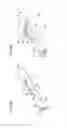 Fig. 06 - Radiographic image capturing system and radiographic image capturing method