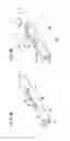 Fig. 05 - Radiographic image capturing system and radiographic image capturing method