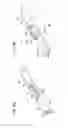Fig. 17 - Radiographic image capturing system and radiographic image capturing method