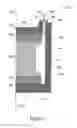 Fig. 02 - Split magnet loudspeaker