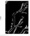 Fig. 13 - Automated system for anatomical vessel characteristic determination