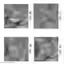 Fig. 10 - Systems and methods for reversible, incremental image shredding