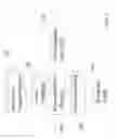 Fig. 03 - Detecting recurring events in consumer image collections