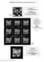 Fig. 08 - System, method, and product for imaging probe arrays with small feature size