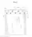 Fig. 03 - Bag with improved features