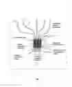 Fig. 02 - Amplification module for an optical printed circuit board and an optical printed circuit board