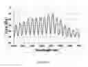 Fig. 05 - Wavelength division multiplexed-passive optical network capable of high-speed transmission of an optical signal by using modulation format having high spectral efficiency