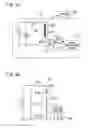 Fig. 04 - Illuminating light communication device