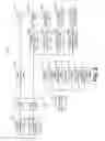 Fig. 03 - Image forming apparatus