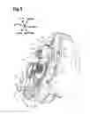 Fig. 06 - Cap configuration for a toner cartridge