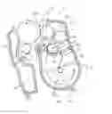 Fig. 01 - Developing unit containing multiple supply rollers and image forming apparatus using the same