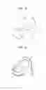 Fig. 07 - Developing unit containing multiple supply rollers and image forming apparatus using the same