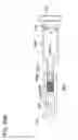 Fig. 64 - Ring binder mechanism