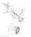 Fig. 03 - Manx fastener