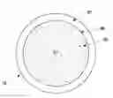 Fig. 01 - WIND TURBINE COMPONENT HAVING A LIGHTWEIGHT STRUCTURE