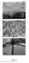 Fig. 04 - TiO2 NANOSTRUCTURES, MEMBRANES AND FILMS, AND APPLICATIONS OF SAME
