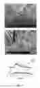 Fig. 05 - TiO2 NANOSTRUCTURES, MEMBRANES AND FILMS, AND APPLICATIONS OF SAME
