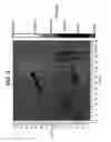 Fig. 05 - Diamond material