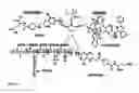 Fig. 04 - Gold/lanthanide nanoparticle conjugates and uses thereof