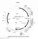 Fig. 02 - PERIPHERAL BLOOD SPARC BINDING ANTIBODIES AND USES THEREOF