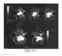 Fig. 05 - Imaging probes, methods of making imaging probes, and methods of imaging