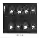 Fig. 07 - Imaging probes, methods of making imaging probes, and methods of imaging