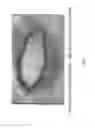 Fig. 09 - POLYMER COMPOSITIONS AND METHODS FOR THEIR USE