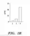 Fig. 03 - POLYMERIC NANOPARTICLES WITH ENHANCED DRUG-LOADING AND METHODS OF USE THEREOF