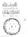 Fig. 02 - Antibacterial phage, phage peptides and methods of use thereof